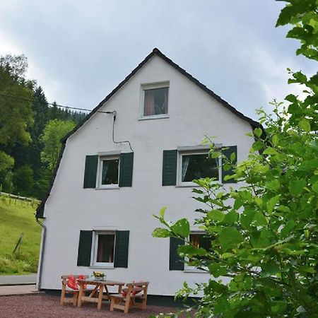 Вилла Haus Elpe Naehe Meschede Winterberg Ольсберг Экстерьер фото