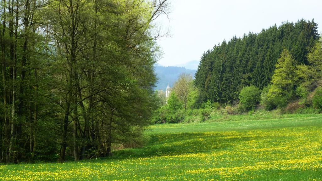 Вилла Haus Elpe Naehe Meschede Winterberg Ольсберг Номер фото