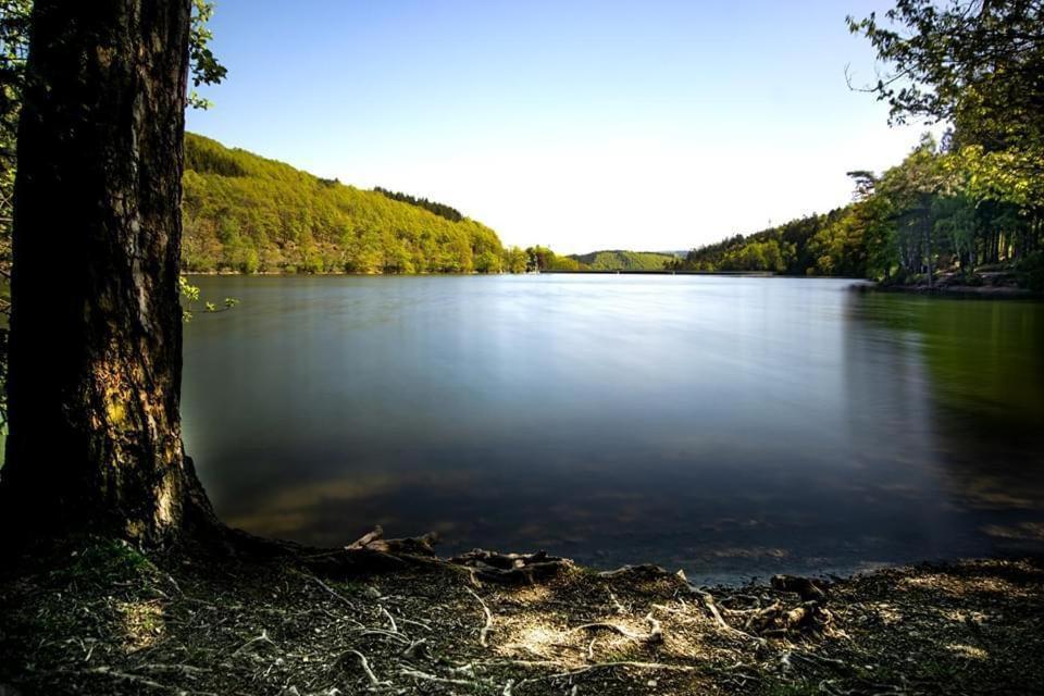 Вилла Haus Elpe Naehe Meschede Winterberg Ольсберг Экстерьер фото