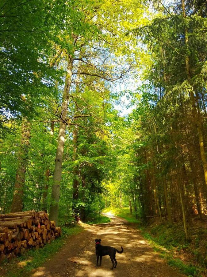 Вилла Haus Elpe Naehe Meschede Winterberg Ольсберг Экстерьер фото